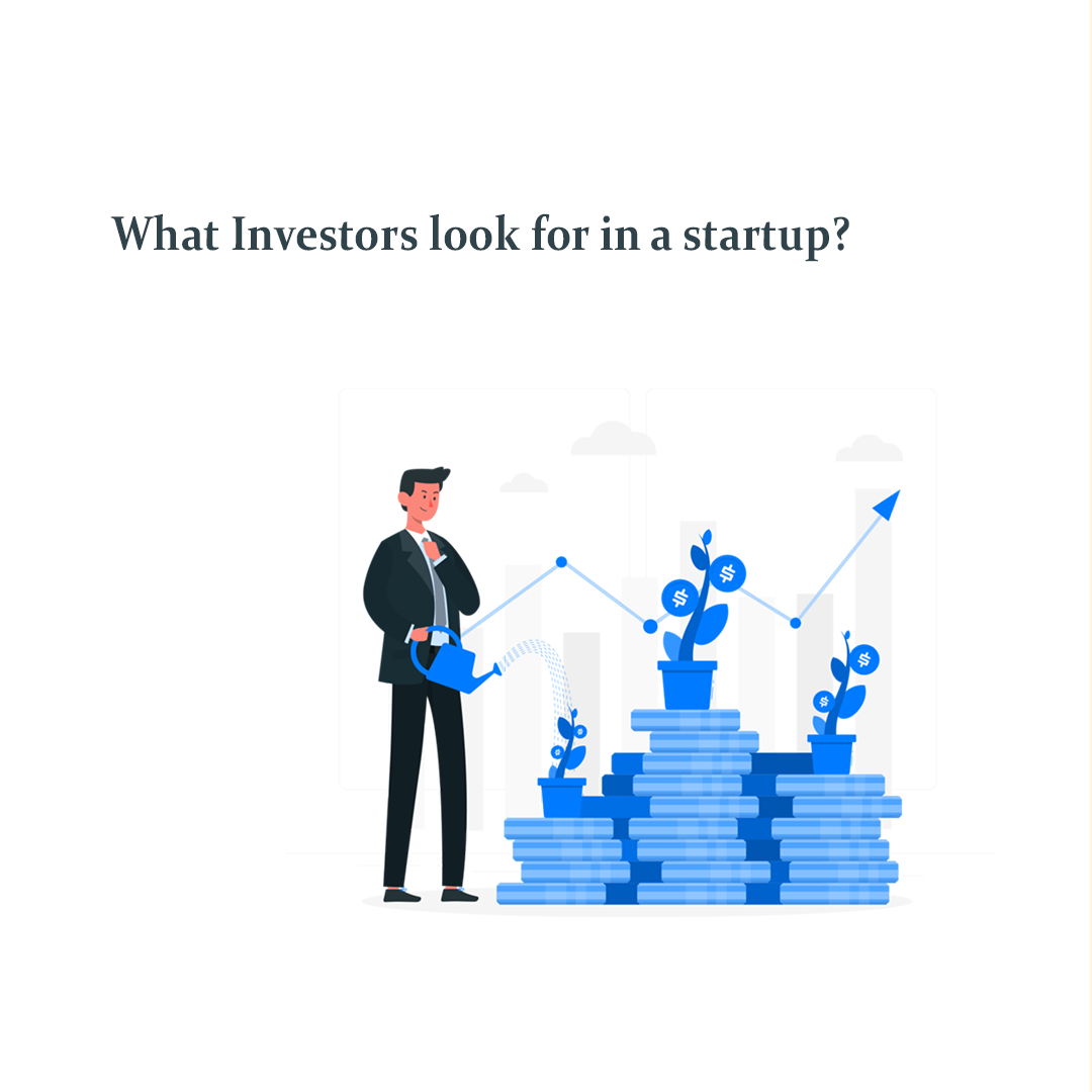 What investors look for in a start-up?